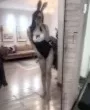 ❤️兼职小姐姐