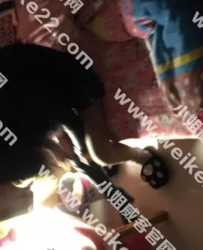 市区漂亮美眉挺年轻的